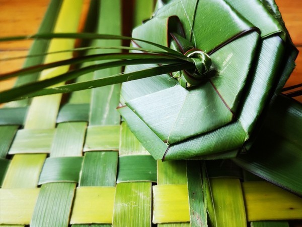 Close up shot of green flax weaving.