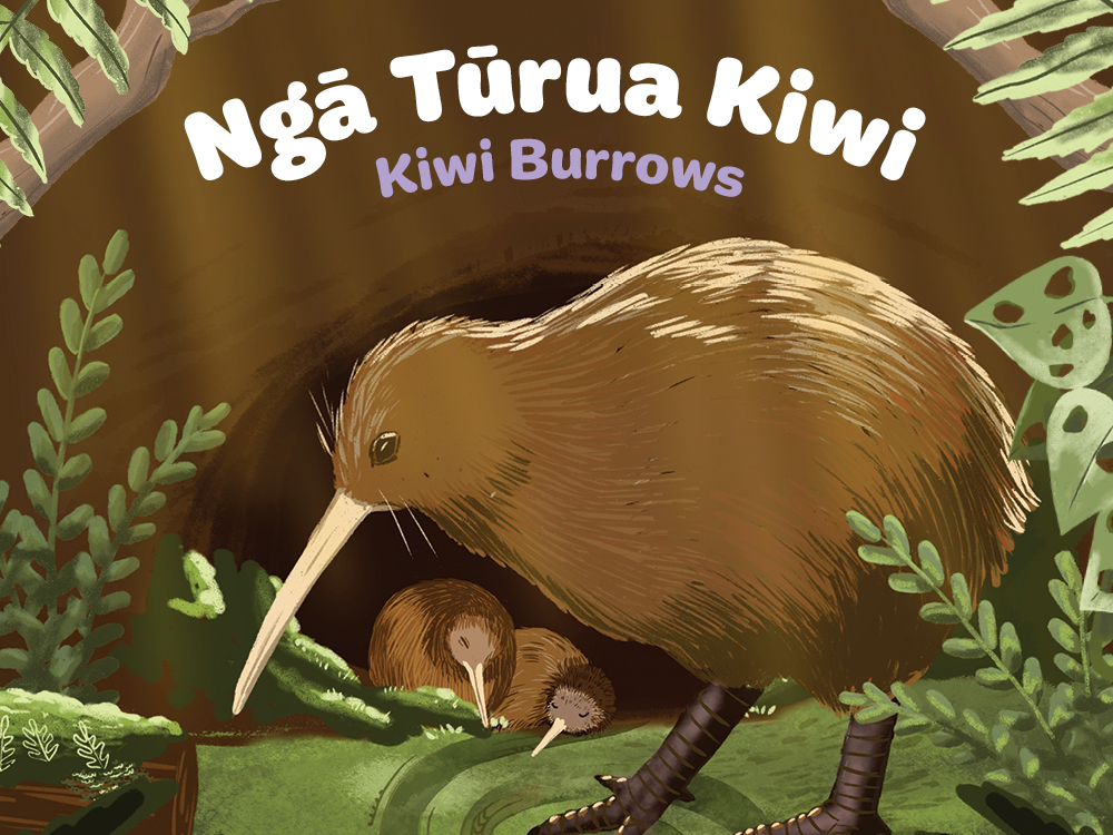 NTACE Kiwi Burrows - Web Listing - Announce theme 1.0