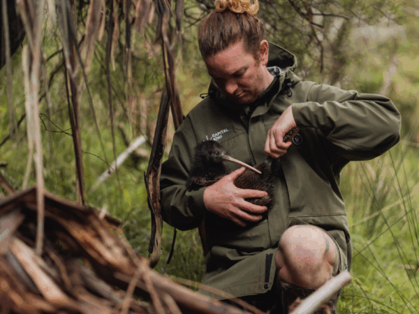 Rawiri Walsh from Capital Kiwi Project holds a kiwi